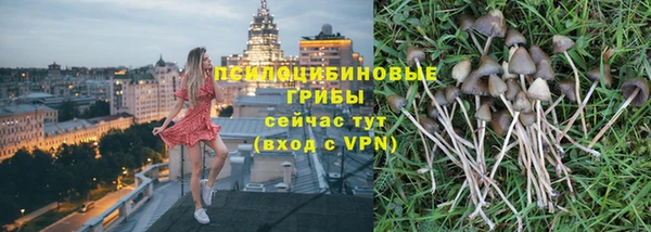 MDMA Premium VHQ Богородицк