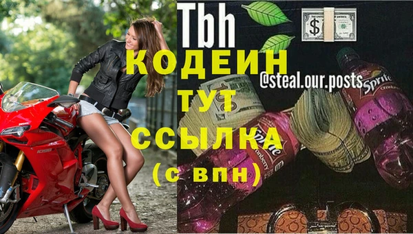 гидропоника Богданович