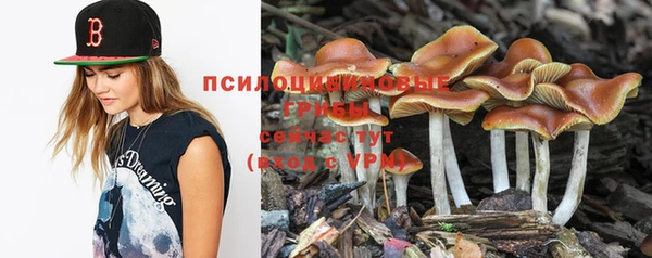 MDMA Premium VHQ Богородицк