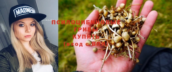 MDMA Premium VHQ Богородицк