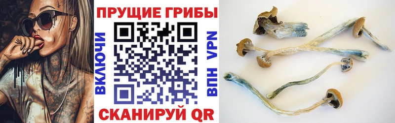Галлюциногенные грибы Magic Shrooms  Дубовка 